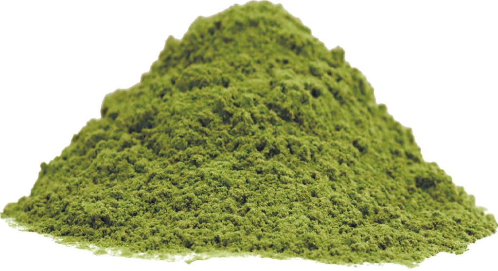 [00000000129] CONVENTIONAL BARLEY GRASS POWDER (20kg carton)
