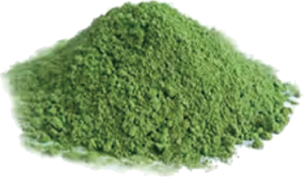[00000000130] CONVENTIONAL WHEAT GRASS POWDER (20kg carton)