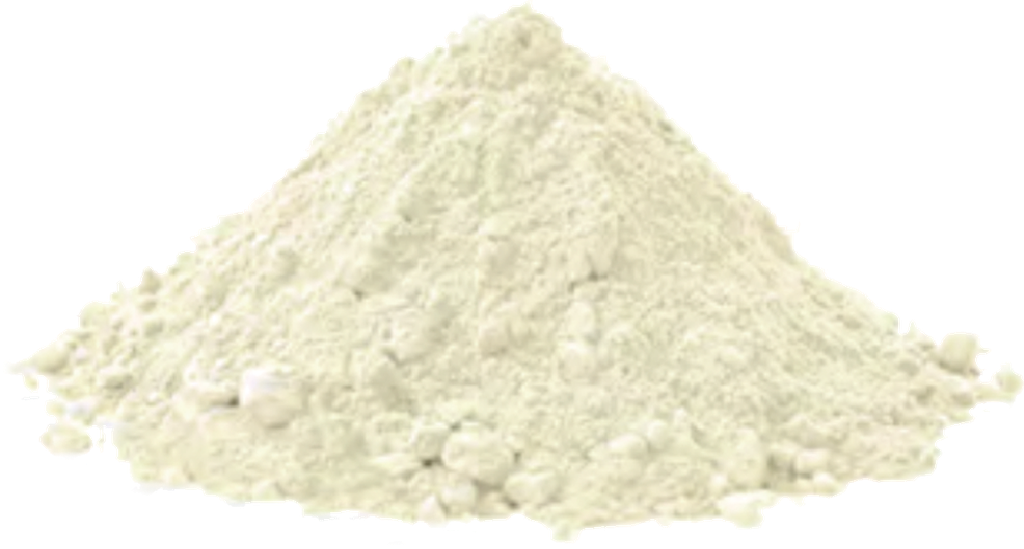 [00000000048] Organic Rice Protein 80% (20kg carton)