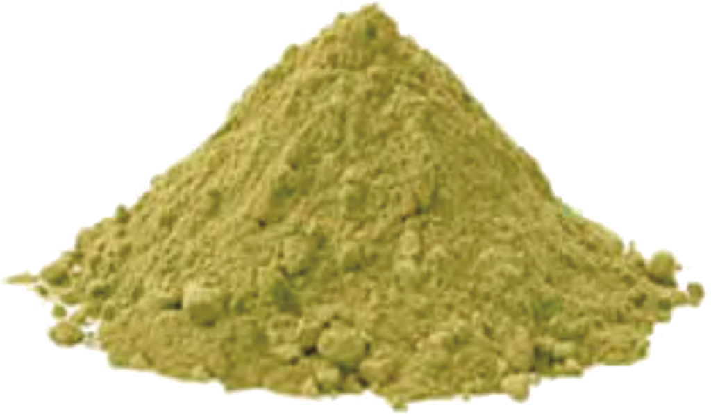 Organic Ginkgo Leaf Powder