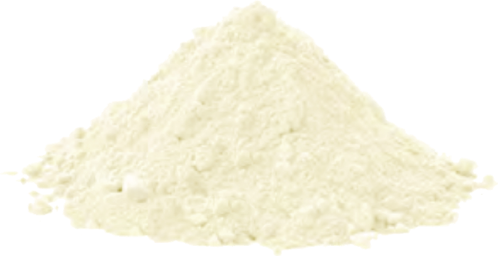 Organic Lion's Mane Mushroom (10kg carton)