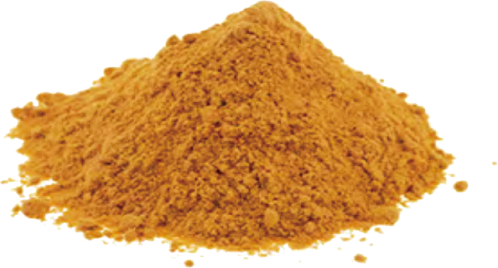 Conventional Gojiberry Juice Powder (25kg drum)
