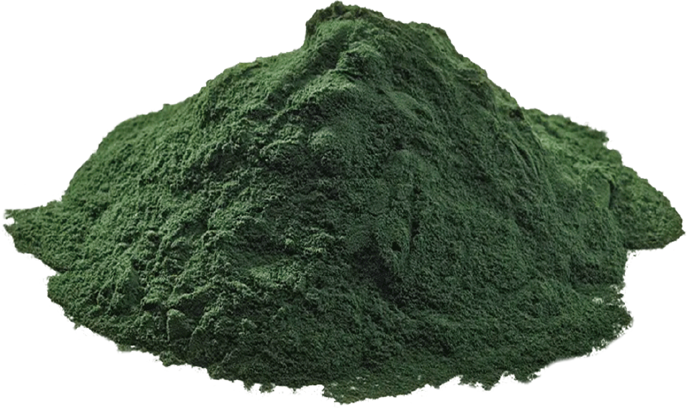[00000000041] Organic Spirulina Powder (25kg drum)